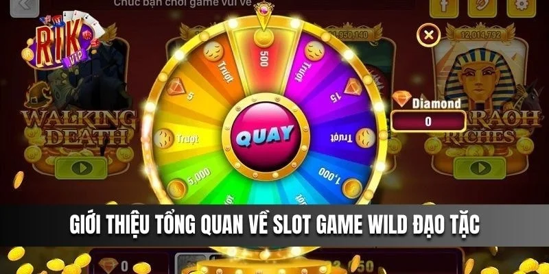 Wild Đạo Tặc là gì? Giới thiệu tổng quan